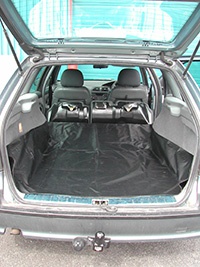 Boot Liners